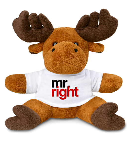 Mr. Right Logo - Los - Bílá - Napřed